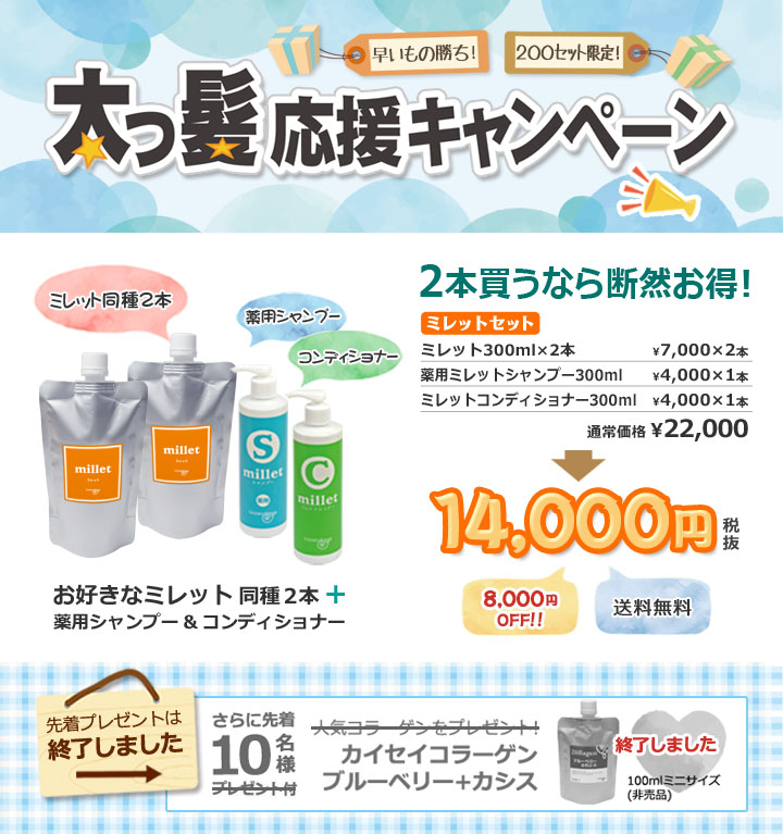 大ヒット企画太っ髪キャンペーン