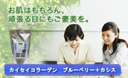 �����������顼����֥롼�٥꡼������