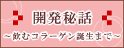 ȯáॳ顼ޤǡ