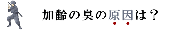 ���𽭤θ����ϡ�