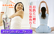 �����������顼����ץ롼��