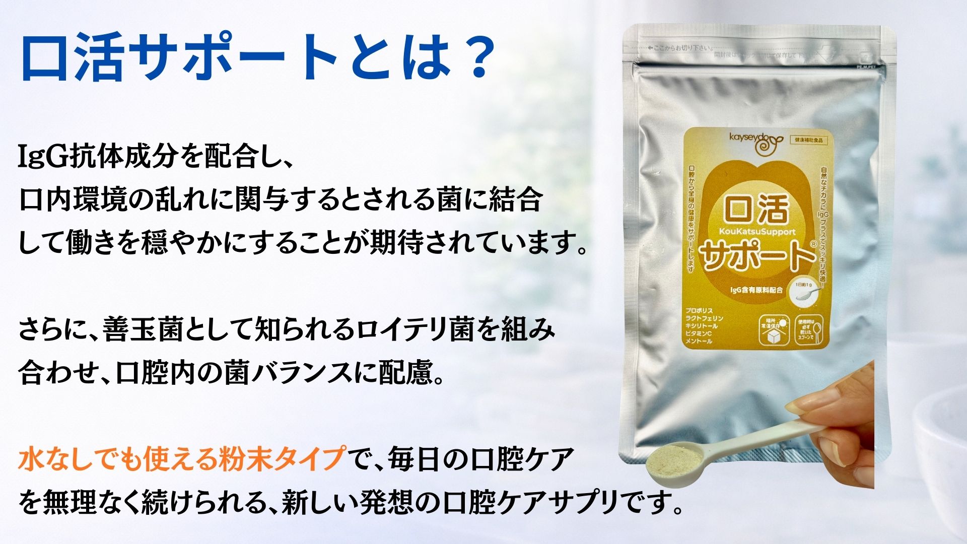 口活サポート説明1